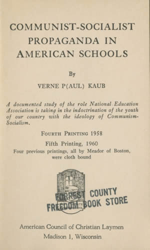 patriotic american youth  - freedom book image
